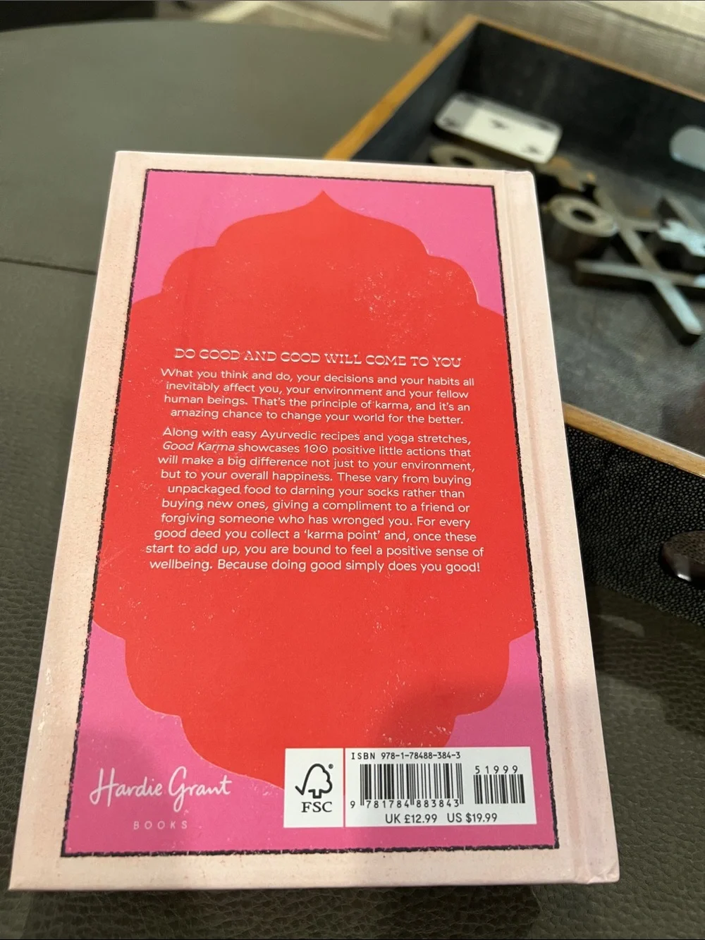 🟣 BOGO! Like New! Good Karma - How To Make The World A Better Place Book